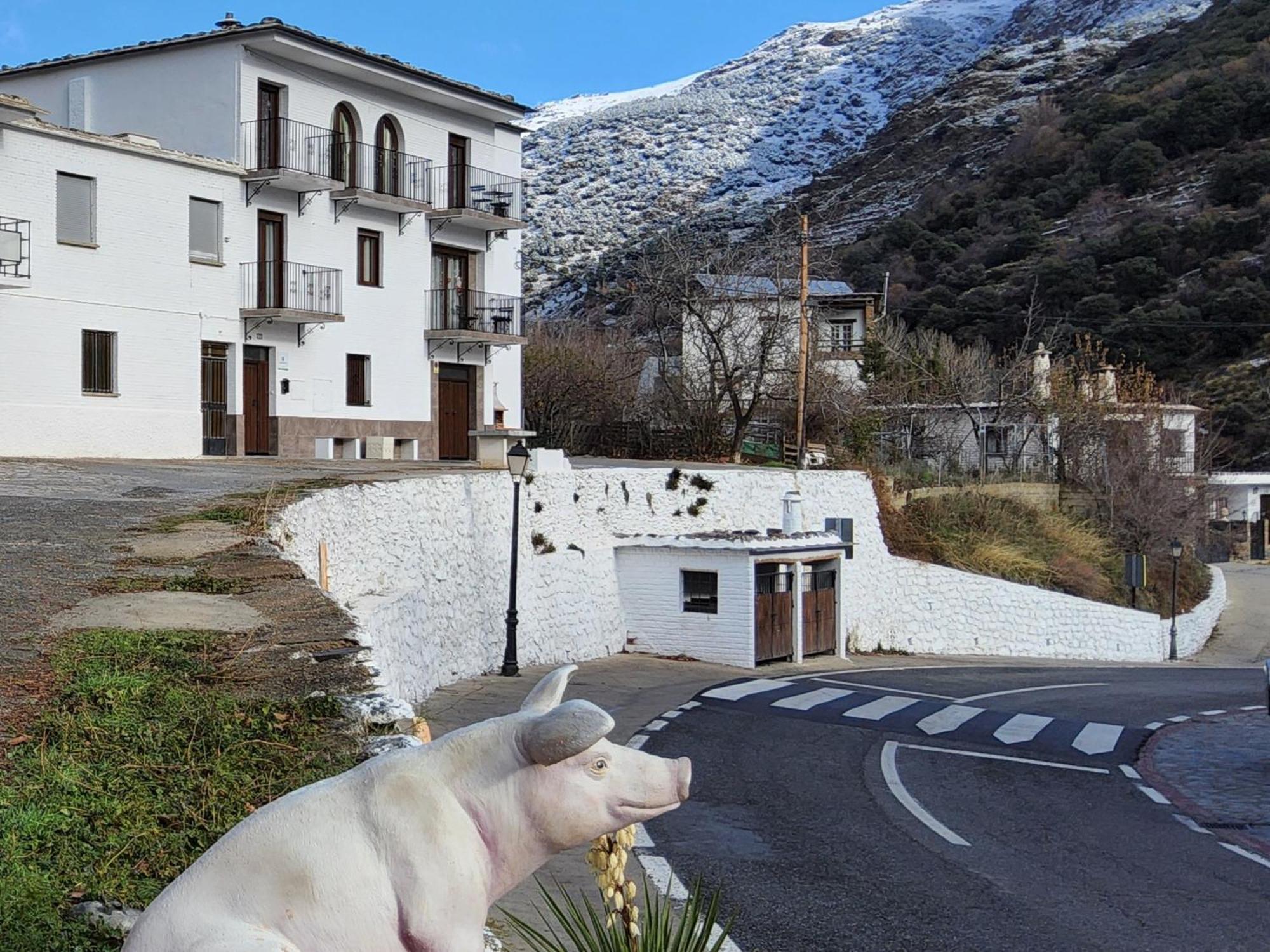 Alojamiento Rural Casa Clara La Pescaora Trevelez Exterior photo